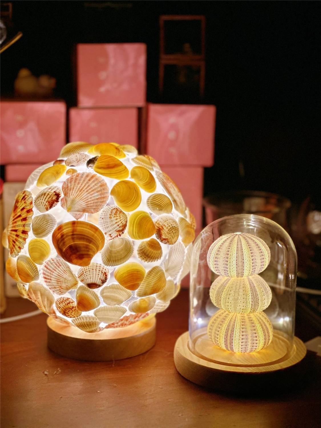 Handmade Shell Night Light