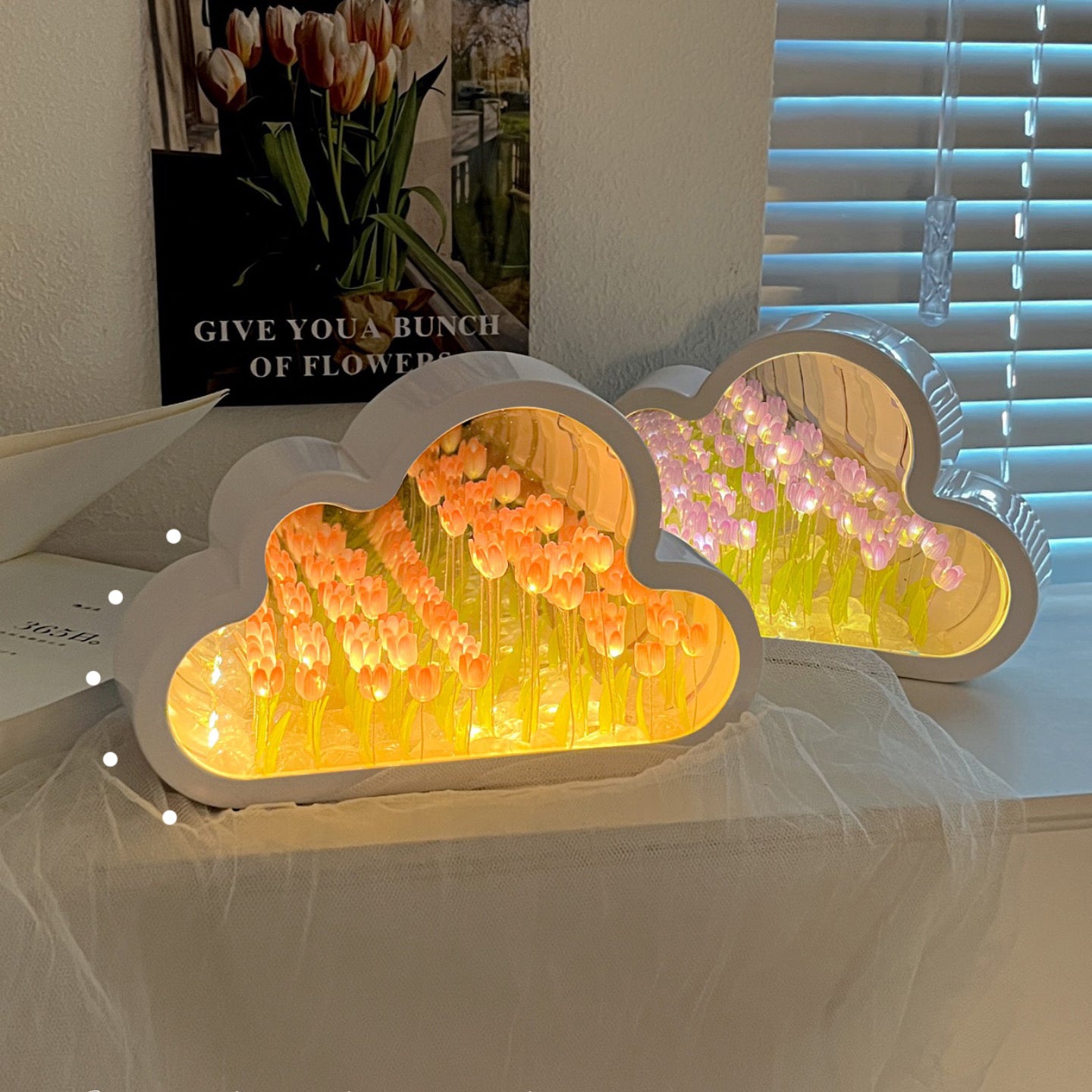 Cloud tulip mirror + sea of roses + night light