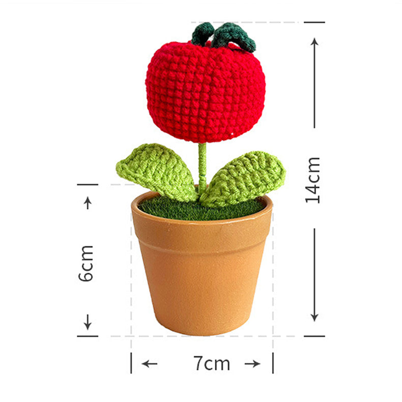 Handwoven Clay Potted Plants