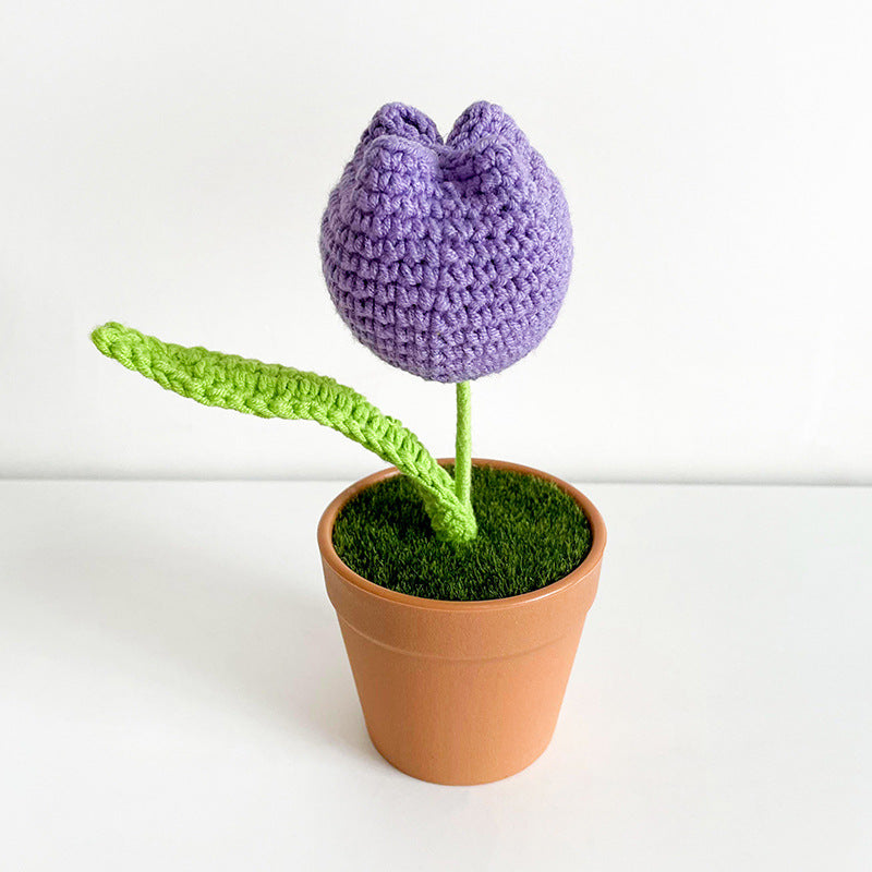 Handwoven Clay Potted Plants