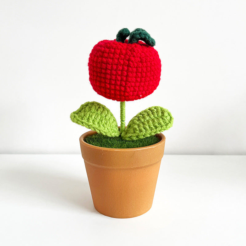 Handwoven Clay Potted Plants