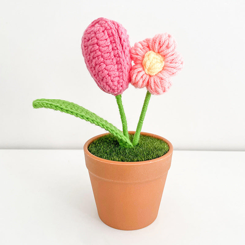 Handwoven Clay Potted Plants