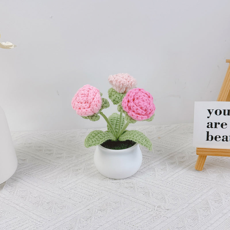 Crochet Tulip Flower Pot