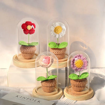 compare product knitted potted plant with glass cover