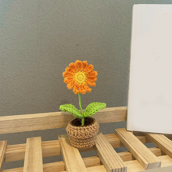 Handmade Woven Knitted Potted Plants