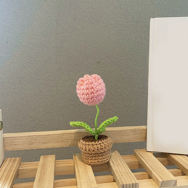 Handmade Woven Knitted Potted Plants