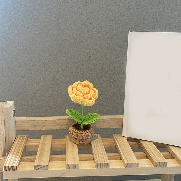 Handmade Woven Knitted Potted Plants