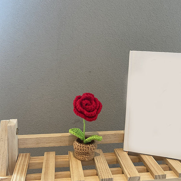 Handmade Woven Knitted Potted Plants