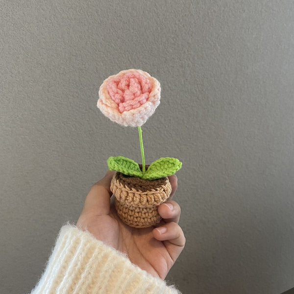 Handmade Woven Knitted Potted Plants