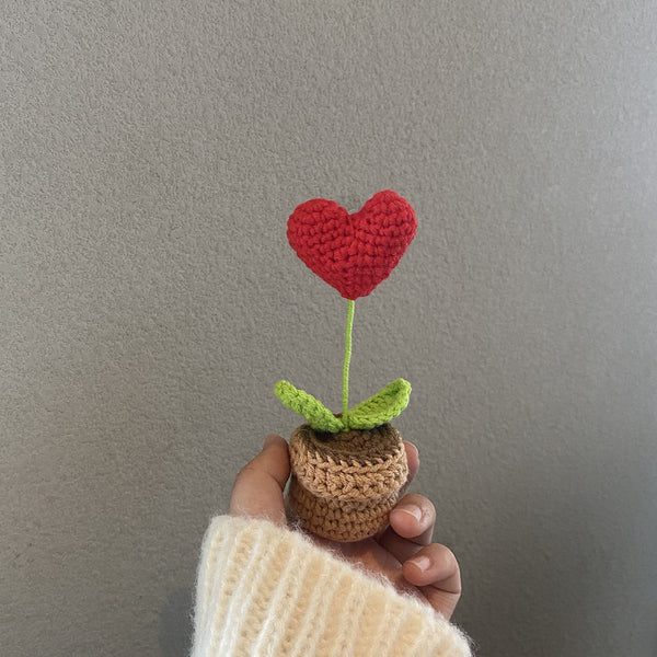 Handmade Woven Knitted Potted Plants