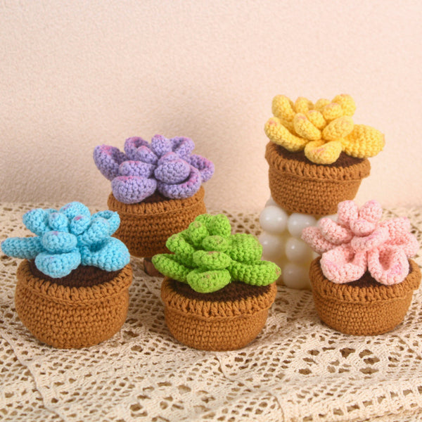 Handmade Succulent Crochet Potted Plants Completed