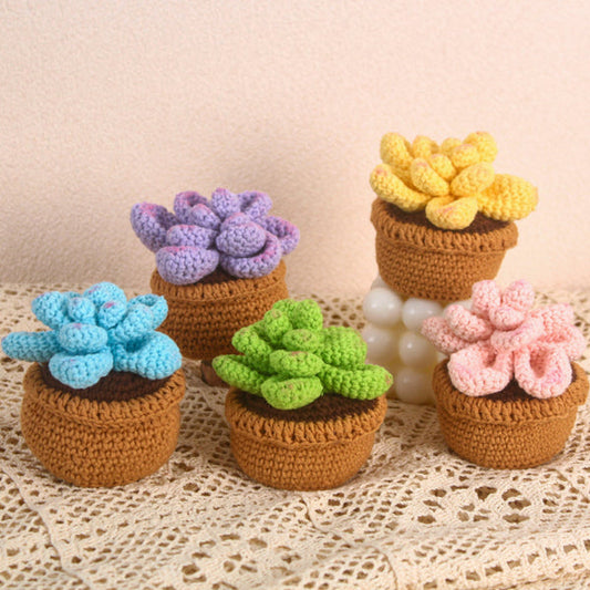 Handmade Succulent Crochet Potted Plants Completed