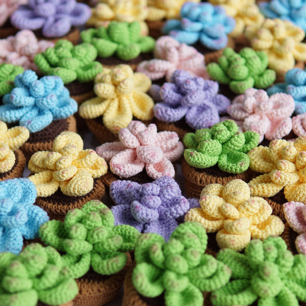 Handmade Succulent Crochet Potted Plants Completed