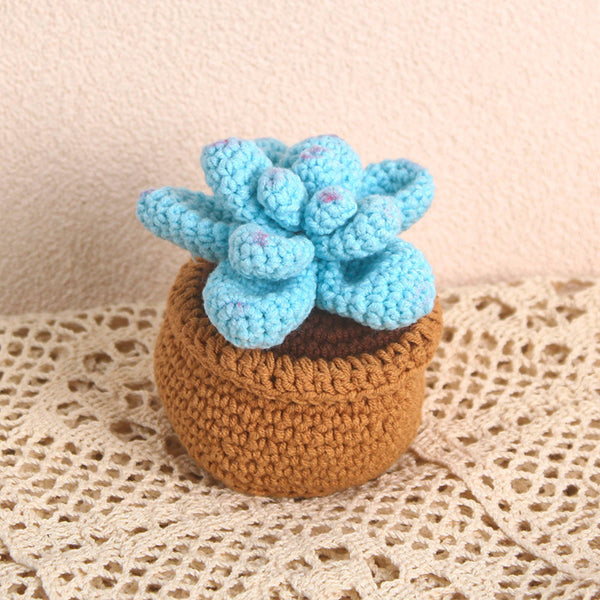 Handmade Succulent Crochet Potted Plants Completed