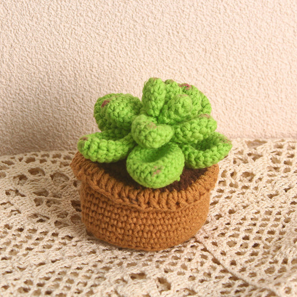 Handmade Succulent Crochet Potted Plants Completed