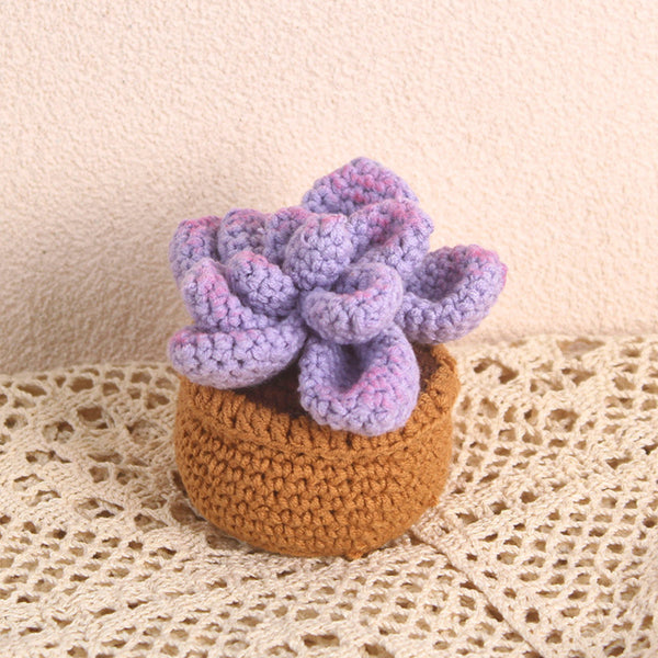 Handmade Succulent Crochet Potted Plants Completed