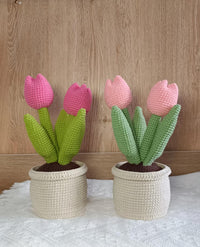 Knitted banana, peach tree and money tree potted plants