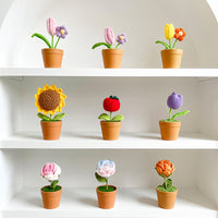Handwoven Clay Potted Plants