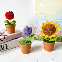 Handwoven Clay Potted Plants