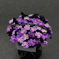 Handmade crocheted forget-me-not bouquet