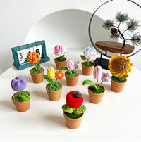 Handwoven Clay Potted Plants