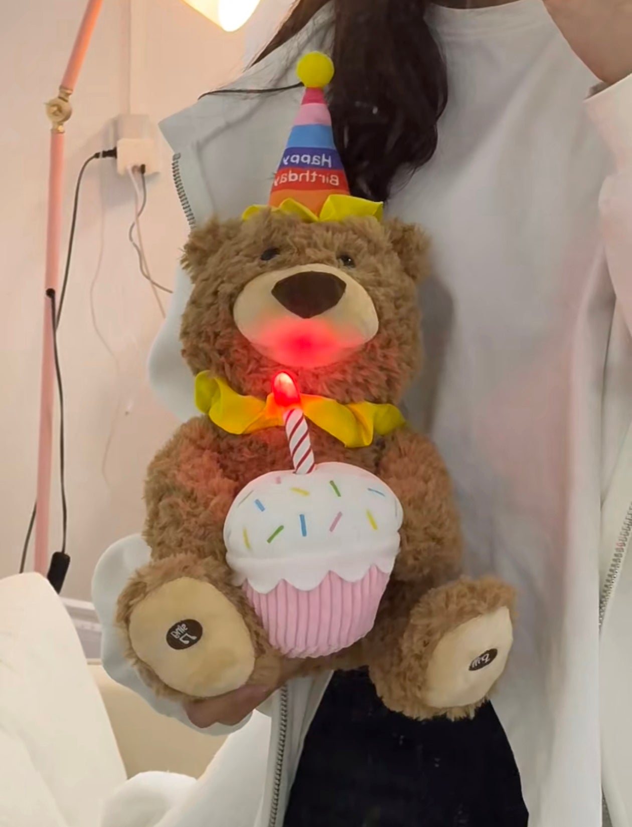 Teddy Bear Birthday Gift