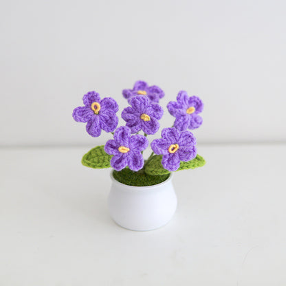 Hand crochet potted plants - forget-me-not