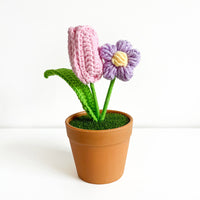 Handwoven Clay Potted Plants