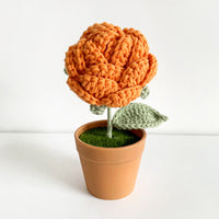 Handwoven Clay Potted Plants