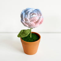 Handwoven Clay Potted Plants