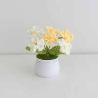 Hand crochet potted plants - forget-me-not