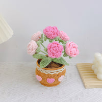 Crochet Tulip Flower Pot