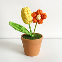 Handwoven Clay Potted Plants