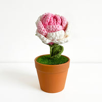 Handwoven Clay Potted Plants
