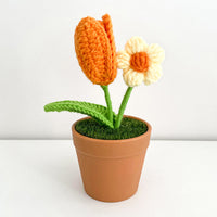 Handwoven Clay Potted Plants