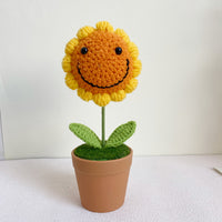Handwoven Clay Potted Plants