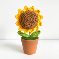 Handwoven Clay Potted Plants