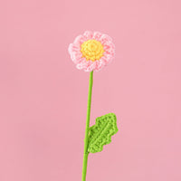 Handwoven small daisy flowers