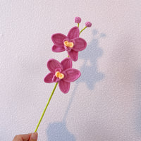 Hand-crocheted double-headed and three-headed phalaenopsis