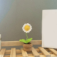 Handmade Woven Knitted Potted Plants