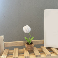 Handmade Woven Knitted Potted Plants