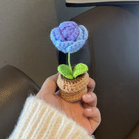 Handmade Woven Knitted Potted Plants