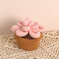 Handmade Succulent Crochet Potted Plants Completed
