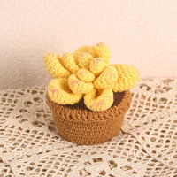 Handmade Succulent Crochet Potted Plants Completed