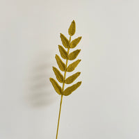 Handwoven leaves of dogtail grass