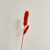 Handwoven leaves of dogtail grass