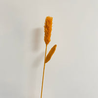 Handwoven leaves of dogtail grass